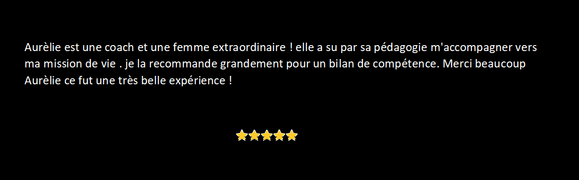 Commentaire_google_3.png